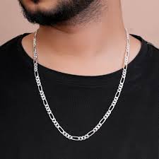 Sliver Crest Chain  For Mens