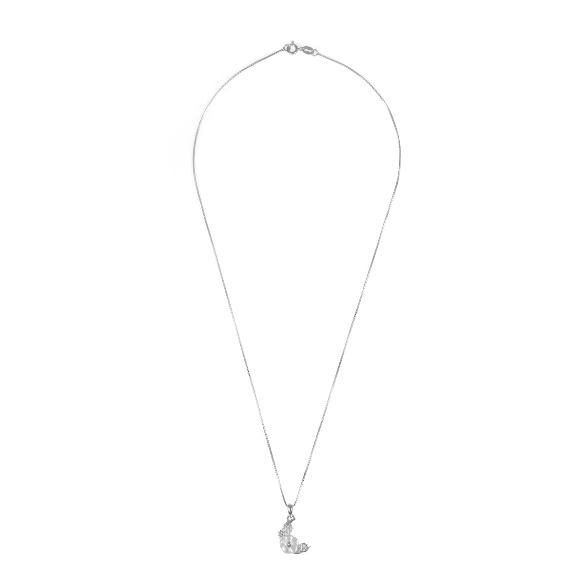 92.5 Silver Pendant Chain Set